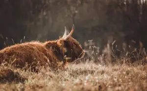 Jak Dlouho Vydrží Pečená Ryba V Lednici